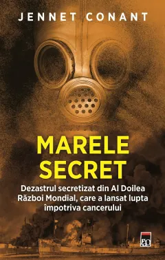 Coperta cărții Marele secret