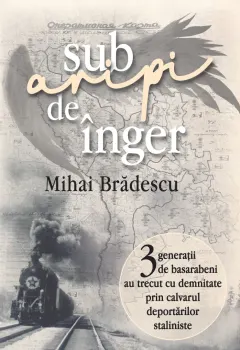 Coperta cărții Sub aripi de înger