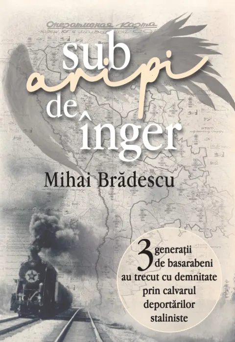 Coperta cărții Sub aripi de înger