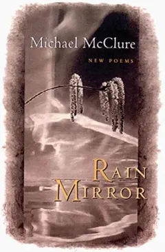 Coperta cărții Rain Mirror