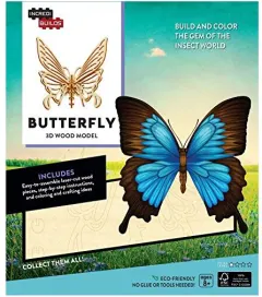 Coperta cărții Butterfly