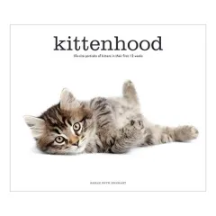 Coperta cărții Kittenhood, Sarah Beth Ernhart