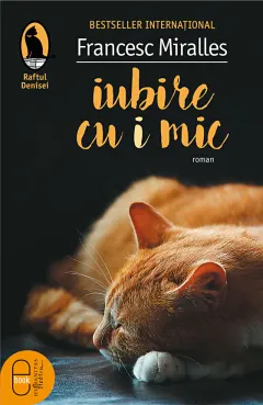 Coperta cărții Iubire cu „i“ mic (epub)