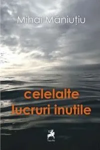 Coperta cărții Celelalte lucruri inutile