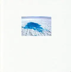 Coperta cărții Extreme ice now: vanishing glaciers and changing climate : a progress report
