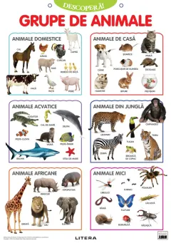 Coperta cărții Descopera! Grupe de animale (planse educationale)