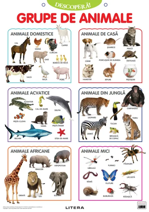 Coperta cărții Descopera! Grupe de animale (planse educationale)