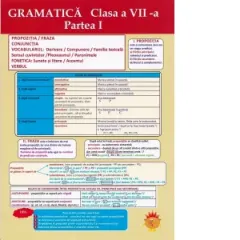 Coperta cărții Plansa. Gramatica - Clasa a VII-a, partea I