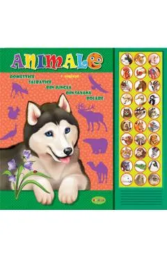 Coperta cărții Carte cu sunete: Animale (romana+engleza)