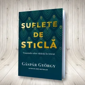 Coperta cărții Suflete de sticla. Traumele celor rataciti in trecut