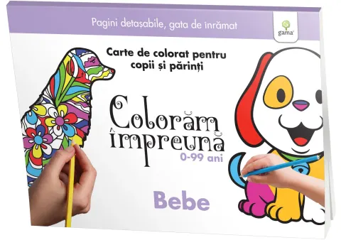 Coperta cărții Bebe
