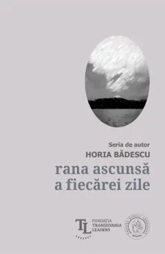 Coperta cărții Rana ascunsă a fiecărei zile