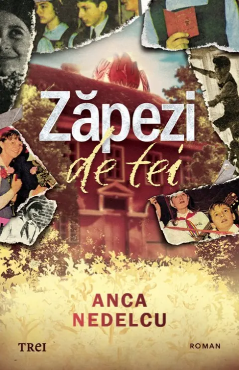Coperta cărții Zăpezi de tei