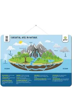 Coperta cărții Plansa: Circuitul apei in natura