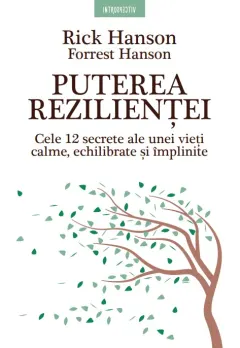 Coperta cărții Puterea rezilienței. Cele 12 secrete ale unei vieți calme, echilibrate și împlinite