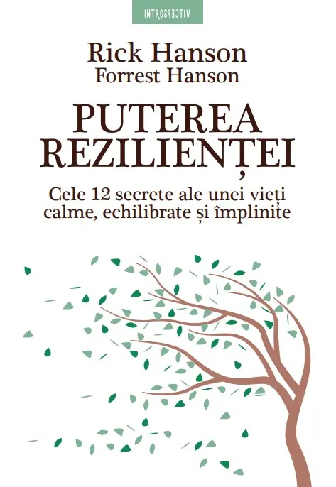 Coperta cărții Puterea rezilienței. Cele 12 secrete ale unei vieți calme, echilibrate și împlinite