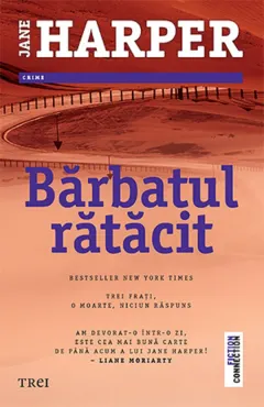 Coperta cărții Bărbatul rătăcit