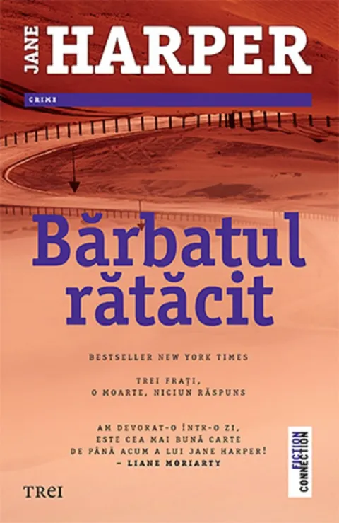Coperta cărții Bărbatul rătăcit