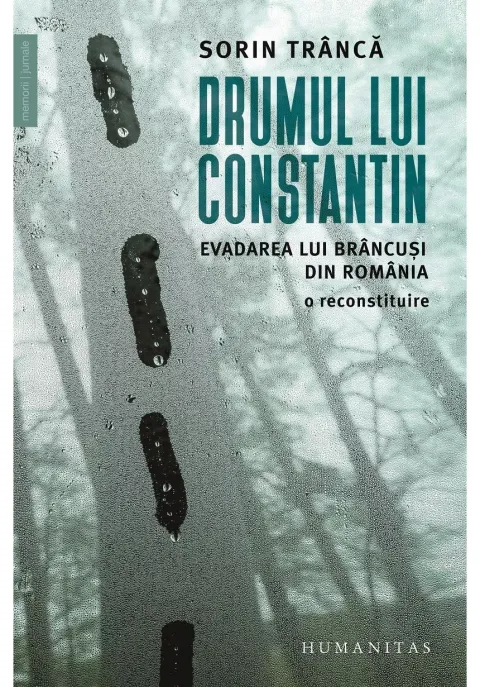 Coperta cărții Drumul lui Constantin