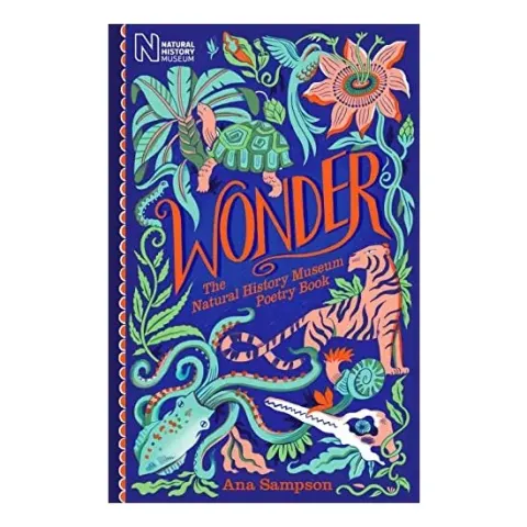 Coperta cărții Wonder