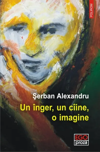 Coperta cărții Un inger, un ciine, o imagine