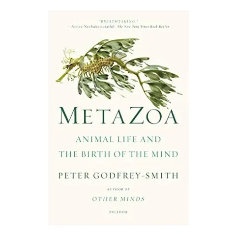 Coperta cărții Metazoa, Peter Godfrey-Smith