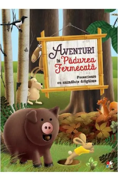 Coperta cărții Aventuri in Padurea Fermecata