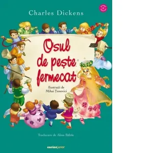 Coperta cărții Osul de peste fermecat