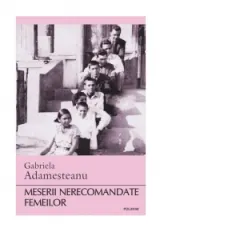 Coperta cărții Meserii nerecomandate femeilor