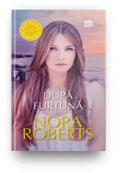 Coperta cărții Dupa furtuna