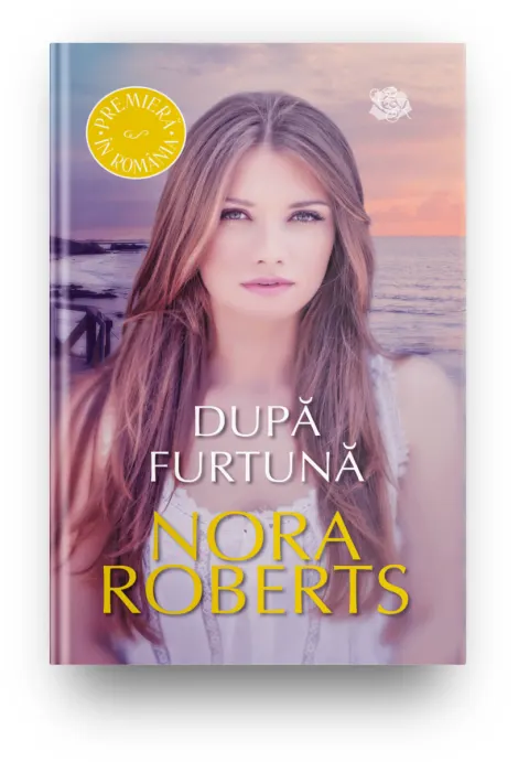 Coperta cărții Dupa furtuna