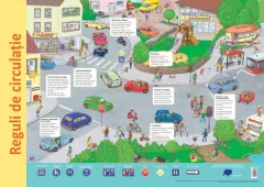 Coperta cărții Plansa - Reguli de circulatie