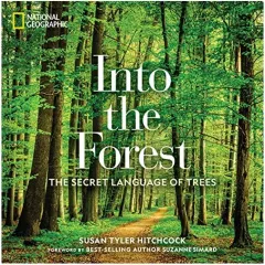 Coperta cărții Into the Forest, Susan Hitchcock