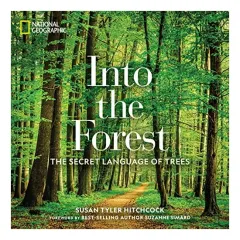 Coperta cărții Into the Forest, Susan Hitchcock