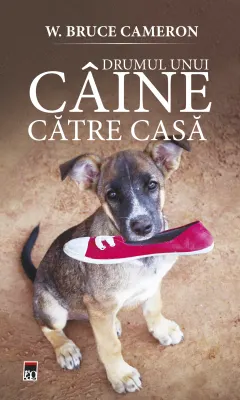 Coperta cărții Drumul unui caine catre casa
