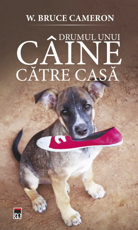 Coperta cărții Drumul unui caine catre casa