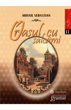Coperta cărții Orasul cu salcami
