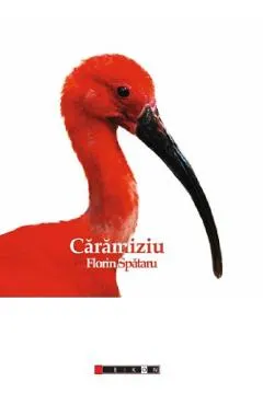 Coperta cărții Caramiziu