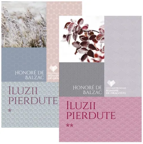 Coperta cărții Set Iluzii pierdute (2 volume)