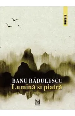 Coperta cărții Lumina si piatra
