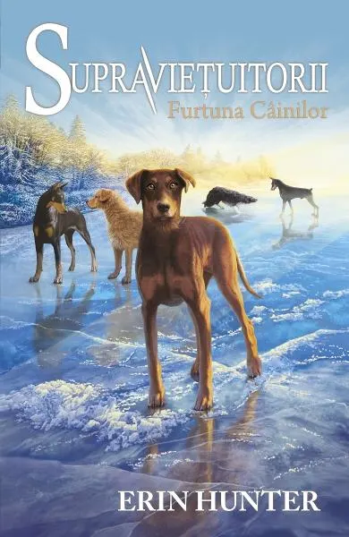 Coperta cărții Supravietuitorii Vol.6: Furtuna cainilor