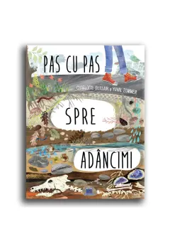 Coperta cărții Pas cu pas spre adancimi