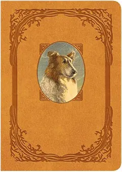 Coperta cărții Lassie Come-Home