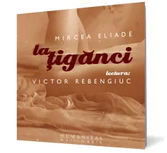 Coperta cărții La țigănci