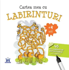 Coperta cărții Cartea mea cu labirinturi