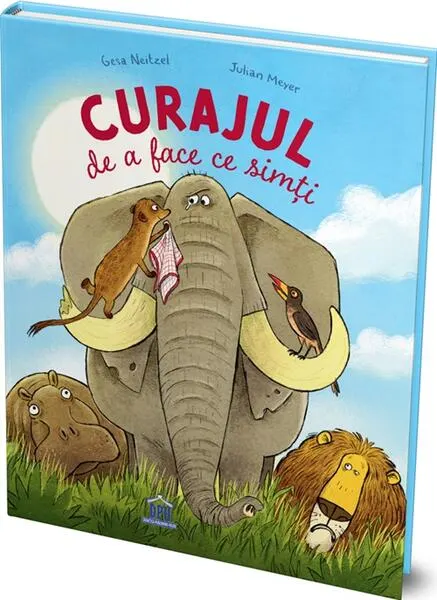 Coperta cărții Curajul de a face ce simți