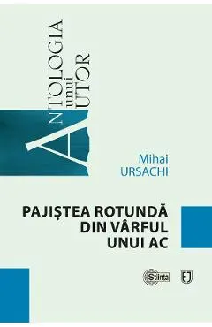 Coperta cărții Pajistea rotunda din varful unui ac