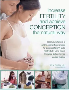 Coperta cărții Increase Fertility and Achieve Conception the Natural Way Boost Your Chances of Getting Pregnant and Prepare for a Successful Birth and a Healthy Baby Using Natural Therapies, Diet and Simple Exercise Regimes