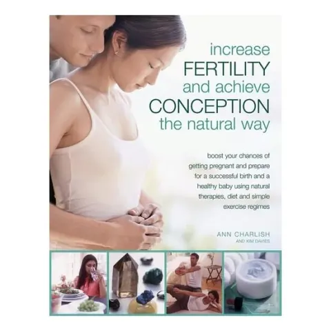 Coperta cărții Increase Fertility and Achieve Conception the Natural Way Boost Your Chances of Getting Pregnant and Prepare for a Successful Birth and a Healthy Baby Using Natural Therapies, Diet and Simple Exercise Regimes