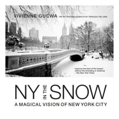 Coperta cărții New York in the Snow, Vivienne Gucwa